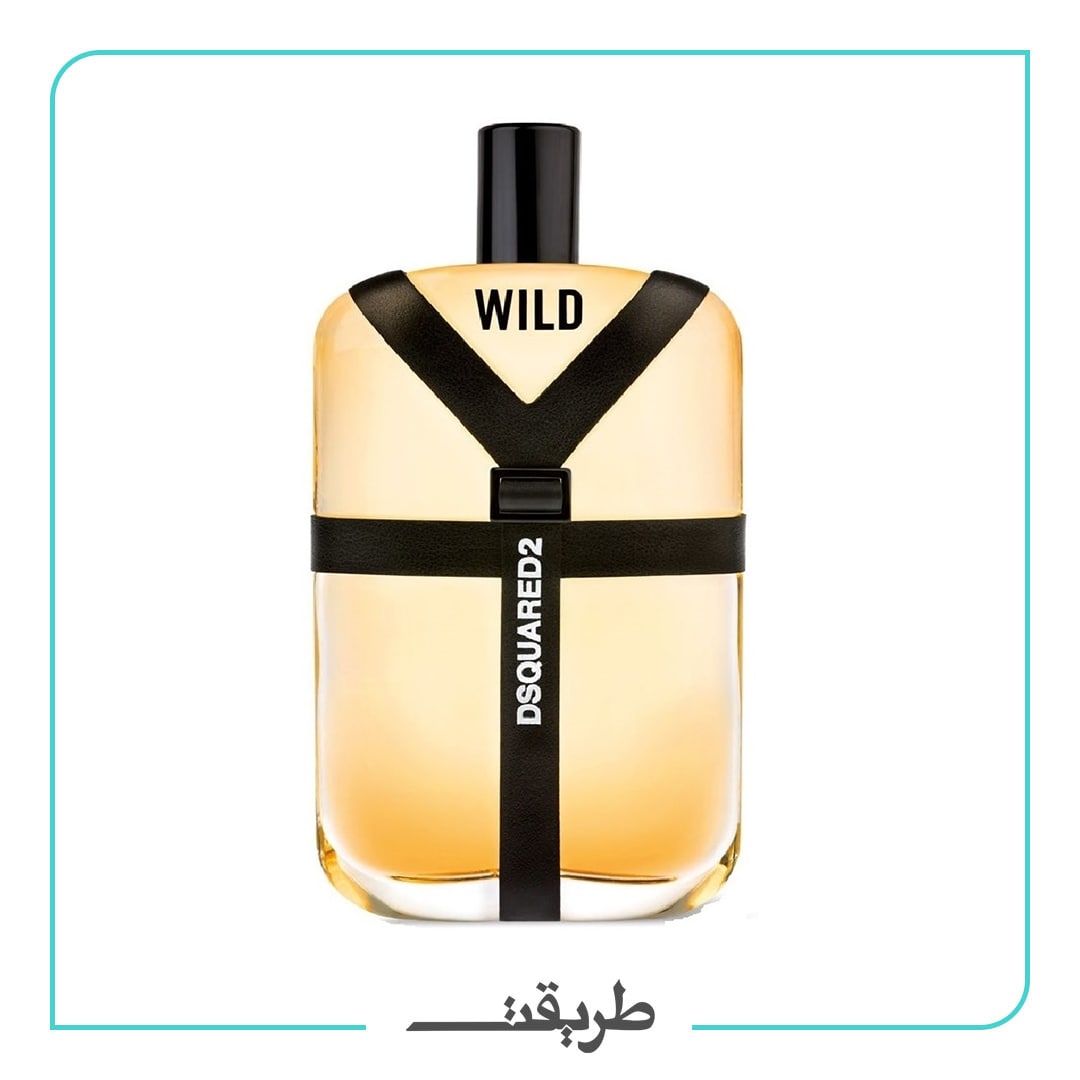 dsquared2 - wild edt 100ml