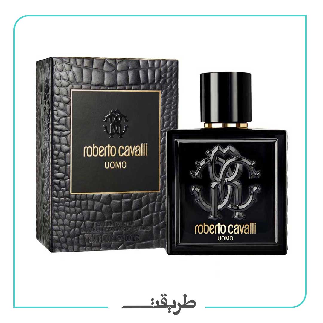 Roberto Cavalli - uomo edt 100ml